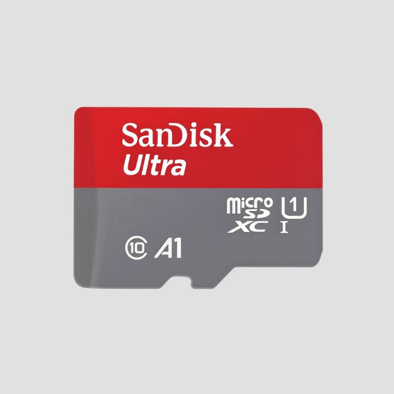 Sd Card